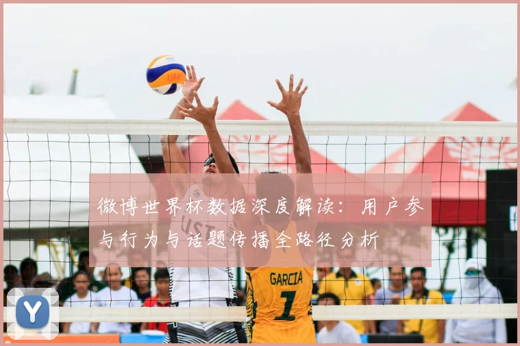 微博世界杯数据深度解读:用户参与行为与话题传播全路径分析